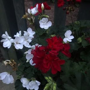 Meet your Posher, Sabrina